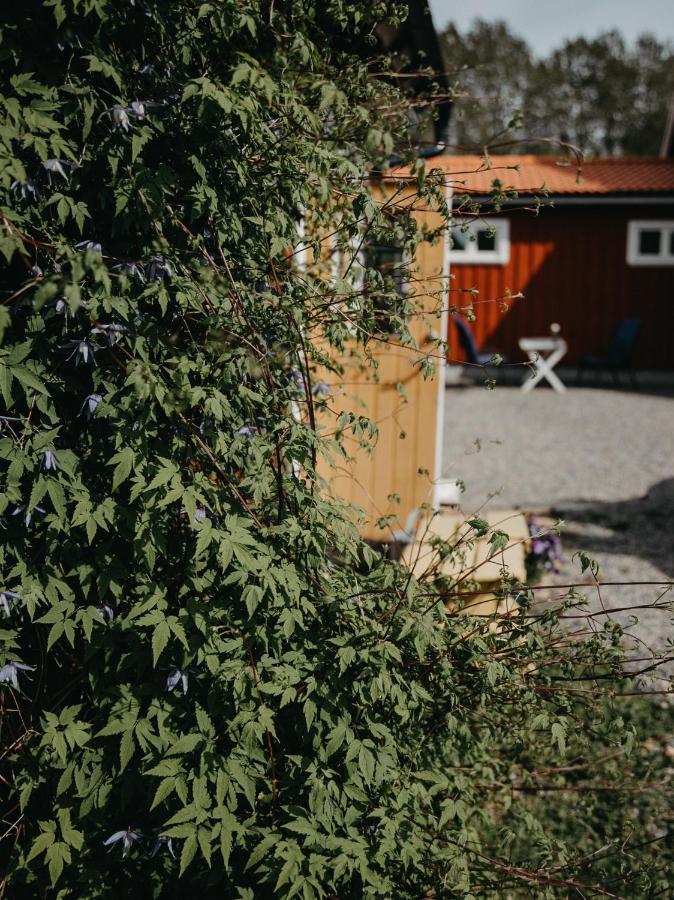 Villa En Lantlig Idyll Med Skogen Precis Utanfoer Doerren! Ullared Esterno foto
